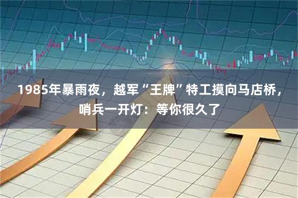 1985年暴雨夜，越军“王牌”特工摸向马店桥，哨兵一开灯：等你很久了